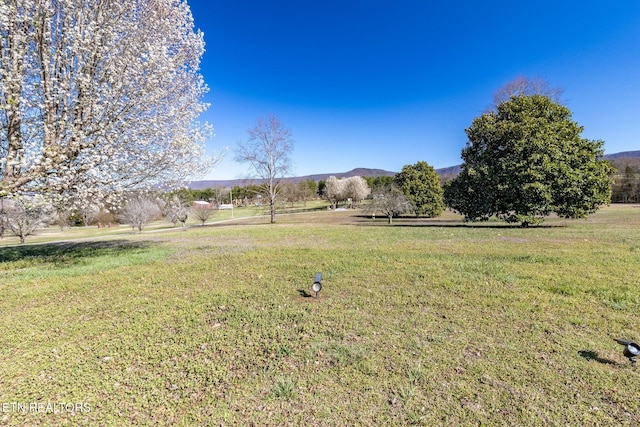 361 River Dr, Dunlap, TN 37327 - view of green lawn with a mountain view