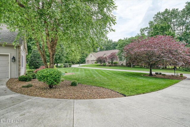 21 Lexham Ct, Crossville, TN 38558 - photo 7
