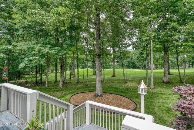 21 Lexham Ct, Crossville, TN 38558 - photo 40