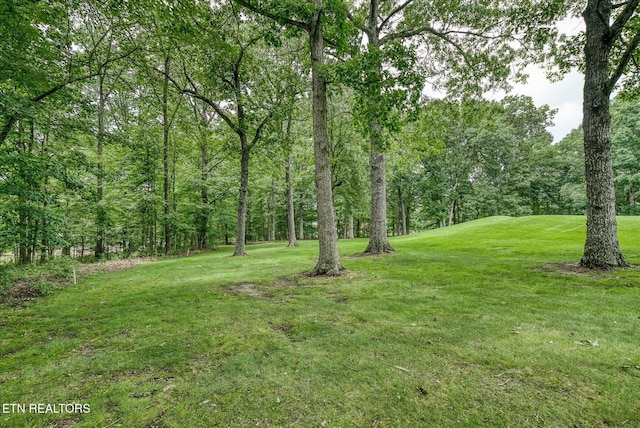 21 Lexham Ct, Crossville, TN 38558 - photo 41