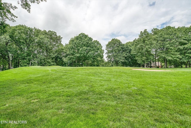 21 Lexham Ct, Crossville, TN 38558 - photo 43