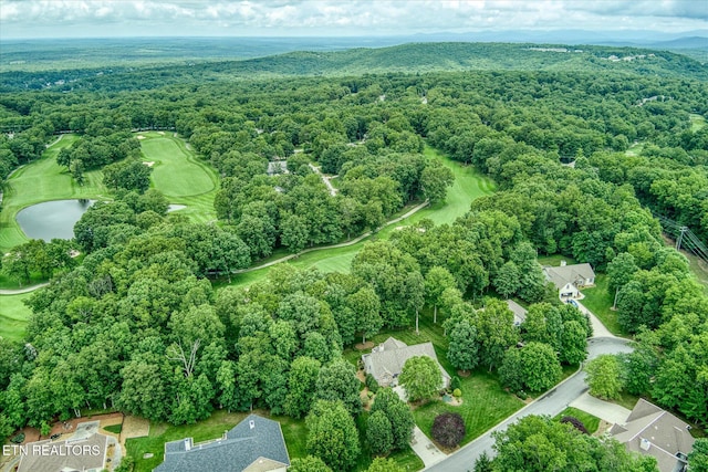 21 Lexham Ct, Crossville, TN 38558 - photo 8