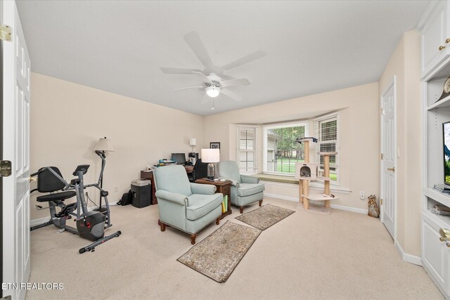 21 Lexham Ct, Crossville, TN 38558 - photo 28
