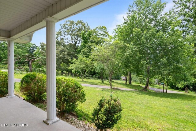 220 Lillywood Dr, Lafollette, TN 37766 - view of green lawn featuring view of wooded area
