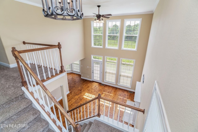 1801 Ridge Creek Ln, Knoxville, TN 37938 - photo 27