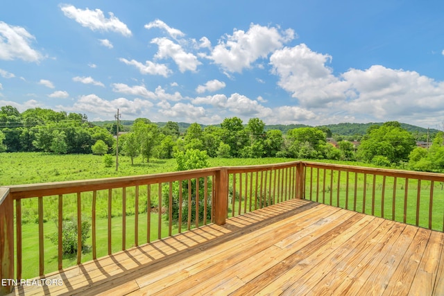 1801 Ridge Creek Ln, Knoxville, TN 37938 - photo 39