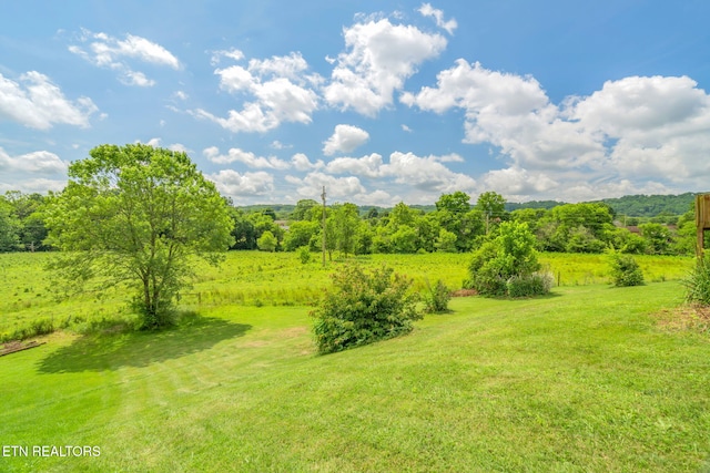 1801 Ridge Creek Ln, Knoxville, TN 37938 - photo 42