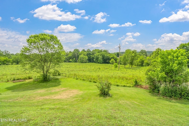 1801 Ridge Creek Ln, Knoxville, TN 37938 - photo 43