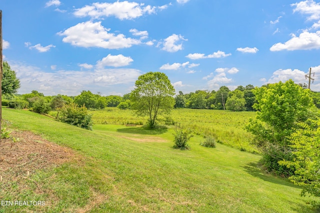 1801 Ridge Creek Ln, Knoxville, TN 37938 - photo 44