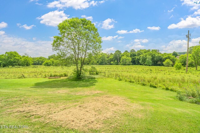 1801 Ridge Creek Ln, Knoxville, TN 37938 - photo 45