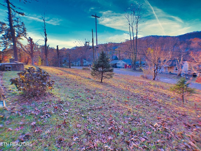 705 S 11th St, Lafollette, TN 37766 - view of mountain backdrop