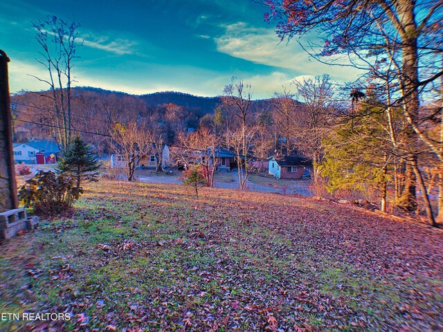 705 S 11th St, Lafollette, TN 37766 - mountain view