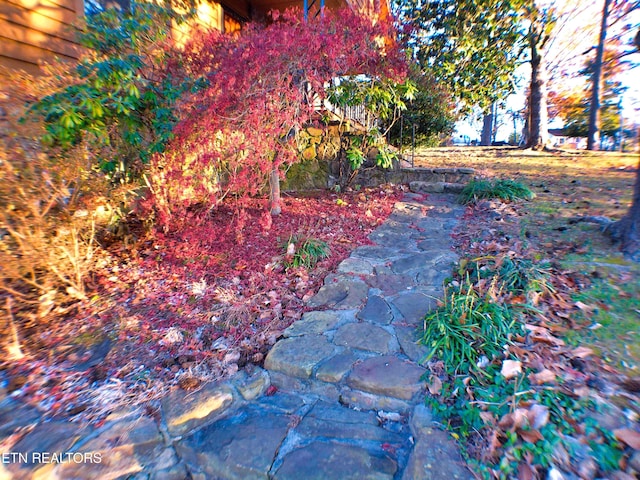 705 S 11th St, Lafollette, TN 37766 - view of yard
