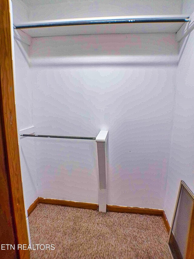 705 S 11th St, Lafollette, TN 37766 - walk in closet featuring carpet