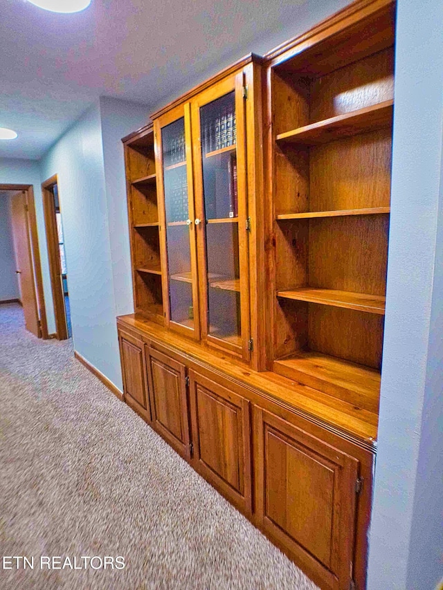 705 S 11th St, Lafollette, TN 37766 - detailed view of carpet and baseboards