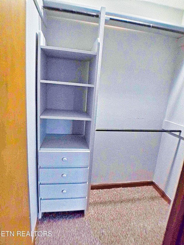 705 S 11th St, Lafollette, TN 37766 - view of closet