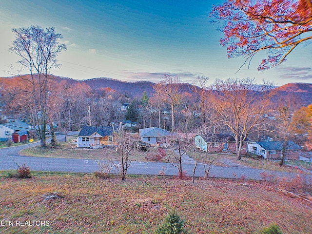 705 S 11th St, Lafollette, TN 37766 - view of mountain backdrop
