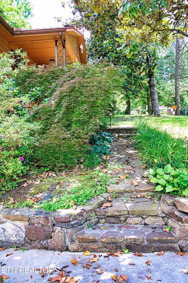 705 S 11th St, Lafollette, TN 37766 - view of yard