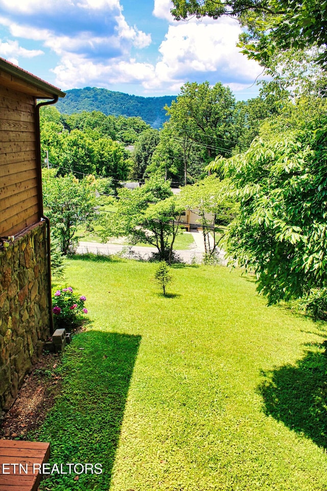 705 S 11th St, Lafollette, TN 37766 - view of grassy yard
