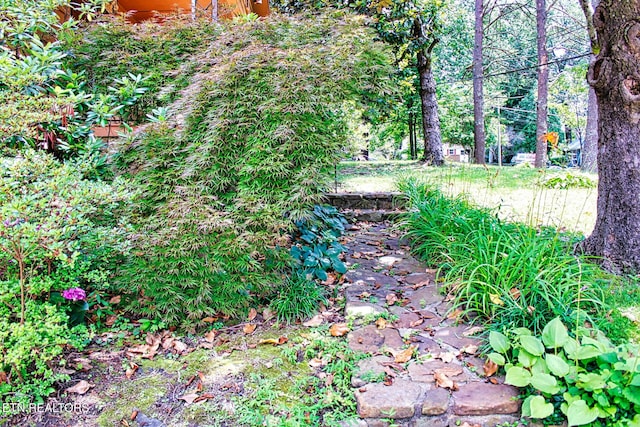 705 S 11th St, Lafollette, TN 37766 - view of nature