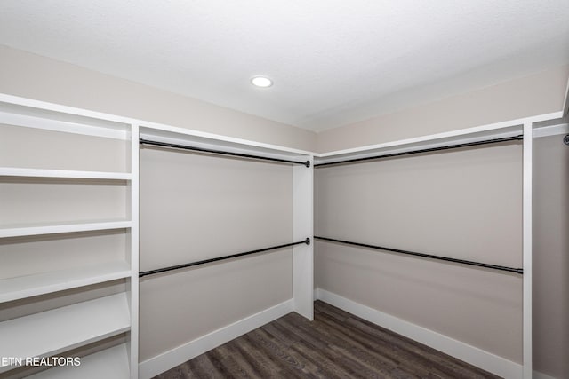 957 W Hunt Rd, Alcoa, TN 37701 - walk in closet with dark wood-style floors