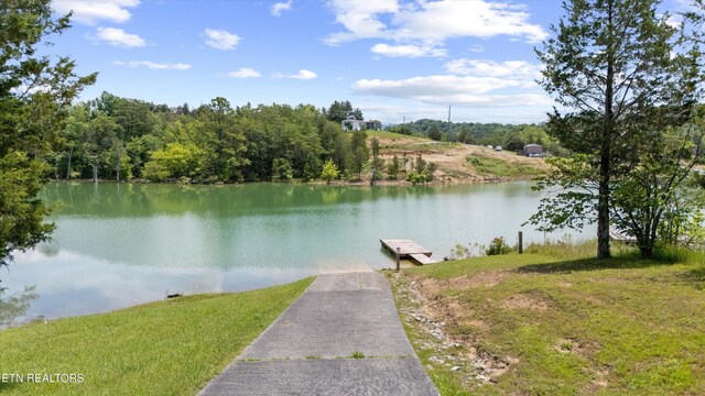 725 Driftwood Cir, Sevierville, TN 37876 - photo 32