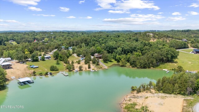 725 Driftwood Cir, Sevierville, TN 37876 - photo 34