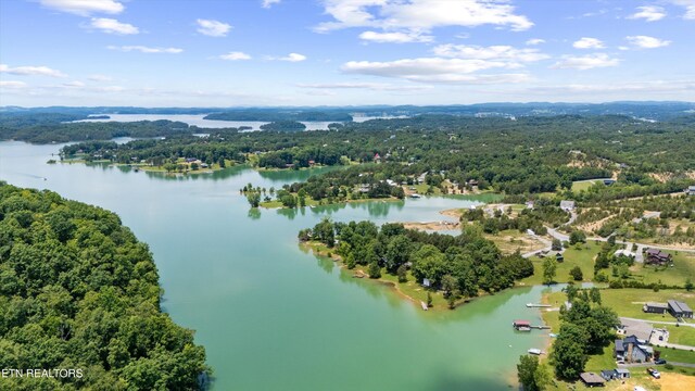 725 Driftwood Cir, Sevierville, TN 37876 - photo 37