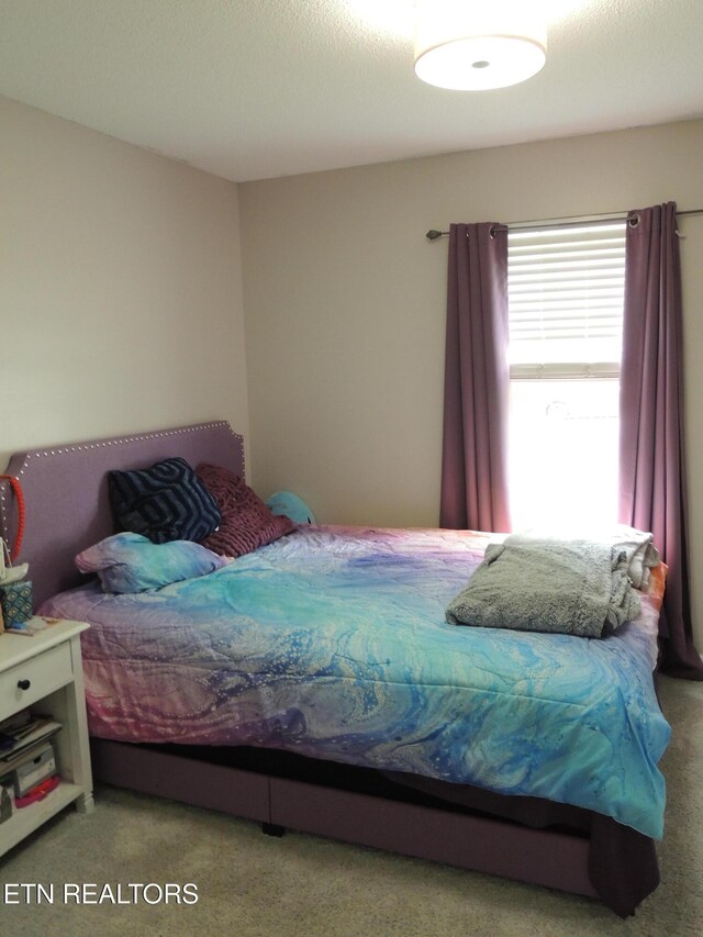 707 Summerdale Dr, Knoxville, TN 37934 - photo 17
