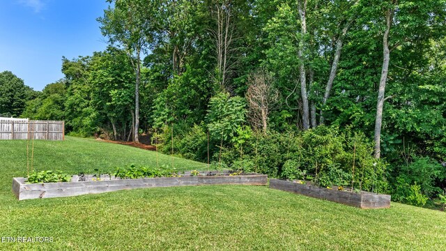 367 Caroline Ct, Talbott, TN 37877 - photo 4