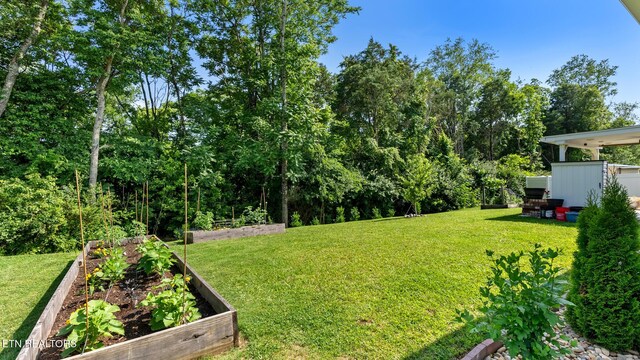 367 Caroline Ct, Talbott, TN 37877 - photo 5