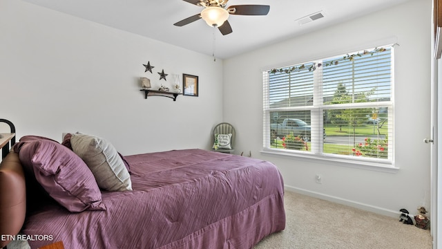 367 Caroline Ct, Talbott, TN 37877 - photo 20