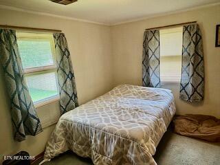 4400 Deerfield Rd, Knoxville, TN 37921 - photo 14