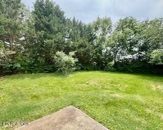 4400 Deerfield Rd, Knoxville, TN 37921 - photo 21