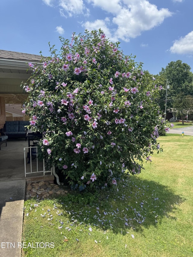 4400 Deerfield Rd, Knoxville, TN 37921 - photo 30