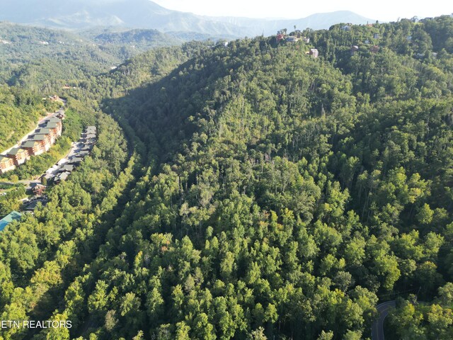 Wiley Oakley Dr, Gatlinburg, TN 37738 - photo 1