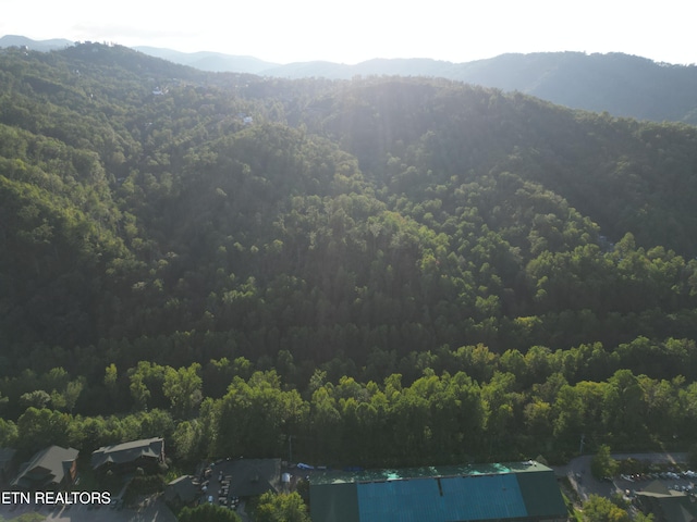Wiley Oakley Dr, Gatlinburg, TN 37738 - photo 3