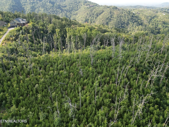Wiley Oakley Dr, Gatlinburg, TN 37738 - photo 4