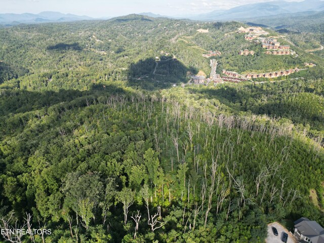 Wiley Oakley Dr, Gatlinburg, TN 37738 - photo 5