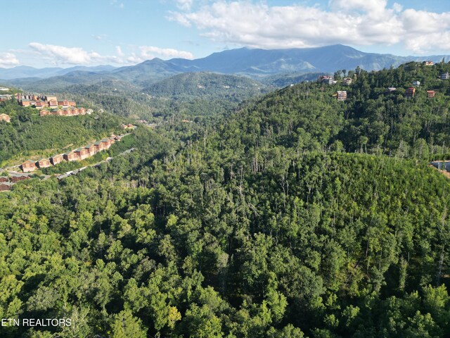 Wiley Oakley Dr, Gatlinburg, TN 37738 - photo 8