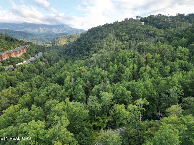 Wiley Oakley Dr, Gatlinburg, TN 37738 - photo 10