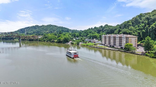 3001 River Towne Way Unit 105, Knoxville, TN 37902 - photo 29