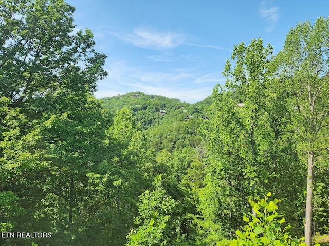 3059 Engle Town Rd, Sevierville, TN 37862 - photo 2