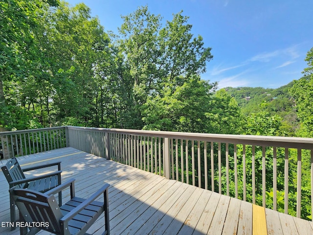 3059 Engle Town Rd, Sevierville, TN 37862 - photo 22