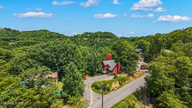 3059 Engle Town Rd, Sevierville, TN 37862 - photo 24