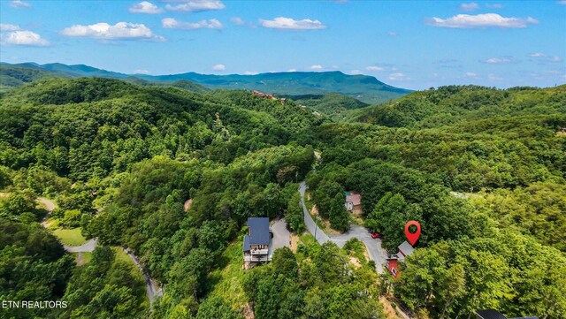 3059 Engle Town Rd, Sevierville, TN 37862 - photo 25