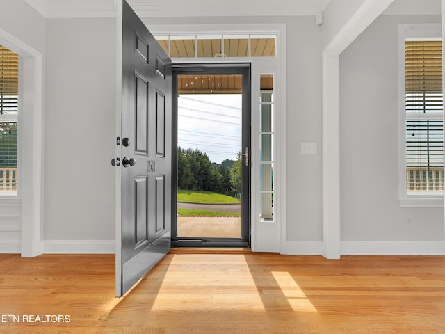 1511 Atlee Summit Ln, Knoxville, TN 37931 - entryway featuring plenty of natural light, light wood finished floors, and ornamental molding