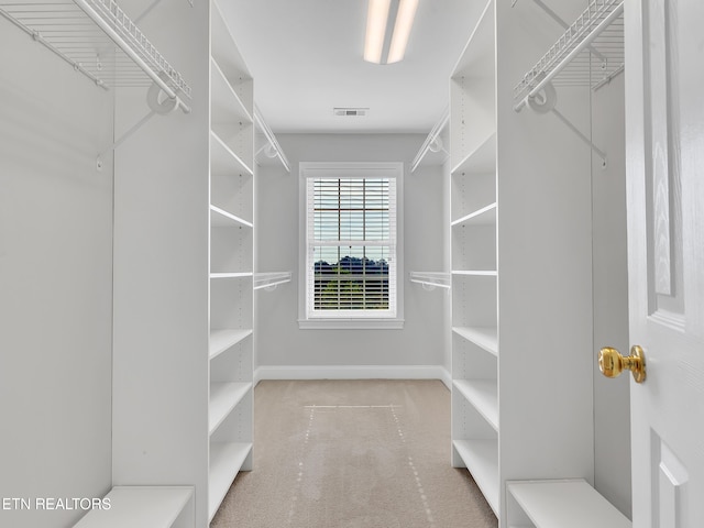 1511 Atlee Summit Ln, Knoxville, TN 37931 - spacious closet with carpet