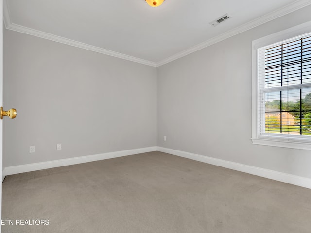 1511 Atlee Summit Ln, Knoxville, TN 37931 - spare room with ornamental molding and carpet floors