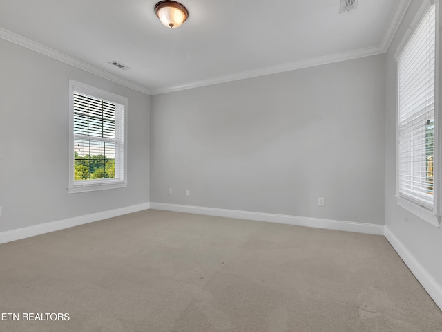 1511 Atlee Summit Ln, Knoxville, TN 37931 - empty room with ornamental molding, light colored carpet, and healthy amount of natural light